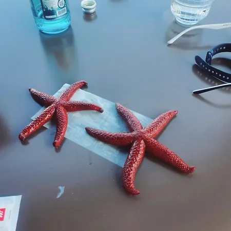 M&g Apartamentioniansarandasea *