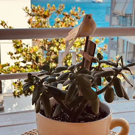 Appartement M&g Apartamentioniansarandasea *