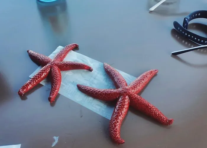 M&g Apartamentioniansarandasea *