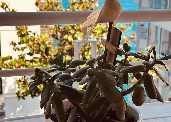 公寓 M&g Apartamentioniansarandasea *